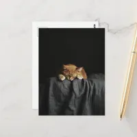 A Cute Sleepy Ginger Kitty on black Postcard