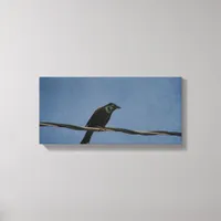 Grackle Power Canvas Print