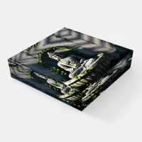 Serene Tranquil Buddha Fountain  Paperweight