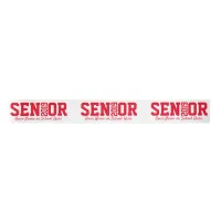 Personalized Senior Block Letter Class of 2019 Satin Ribbon