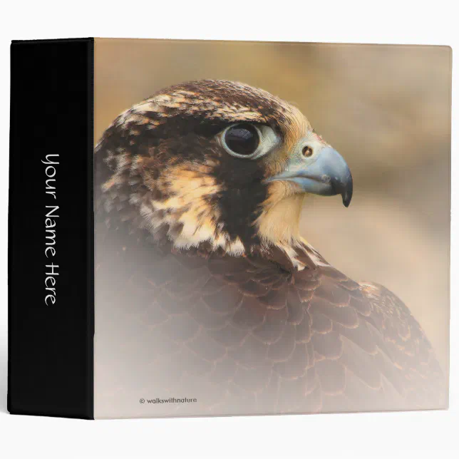 Vignetted Profile of a Peregrine Falcon Binder