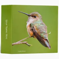 Rufous Hummingbird on California Lilac Branch Binder