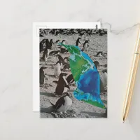 Penguins wildlife collage postcard