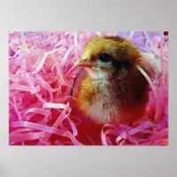 Chick in Wine Glass Poster