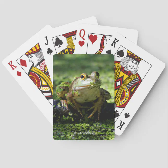 Cute Green Frog Strikes a Pose on the Hose Poker Cards