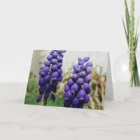 Spring Flowers Card