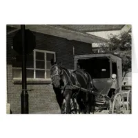 Stop for A Spell, Amish Horse at Stop Sign Cards