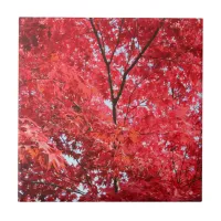 Bright Red Japanese Maple Tree Ceramic Tile