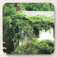 Abandoned White House in the Woods Beverage Coaster