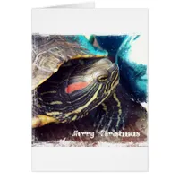 Christmas Turtle