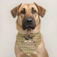 Personalized Royal Decree  Pet Bandana Collar