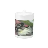 Sugar Glider Sleeping in Blanket Teapot