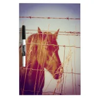 Behind the Fence Abstract Horse Dry-Erase Board