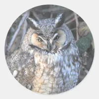 Beautiful Long-Eared Owl at Sunset Classic Round Sticker