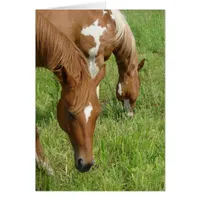 Mother and Son, Horses Grazing