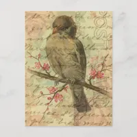 Vintage Sparrow Postcard
