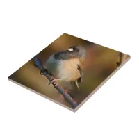 Dark-Eyed Junco on a Limb Ceramic Tile