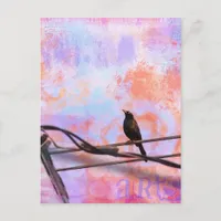 Artsy Grackle Postcard