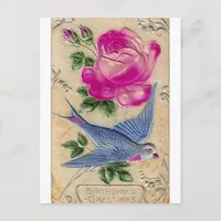 Blue Bird Pink Rose Postcard