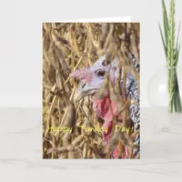 Happy Turkey Day Card