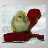 Musical Chick