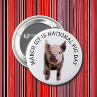 March 1st is National Pig Day Funny Holidays Button