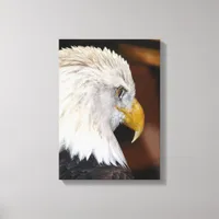 Bald Eagle Canvas Print