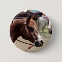 At the Horse Show Pinback Button
