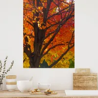 Autumn Leaves of Yellow and Orange Photo Poster