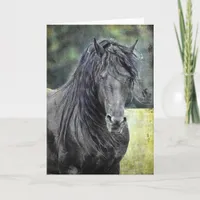 Friesian Stallion Card