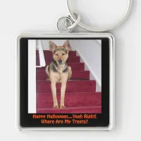 Halloween Dog and No Treats Keychain