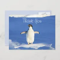Funny Penguin Thank You Postcard