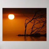 sunset sun silhouette Poster