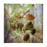 Goldfinch and Sunflowers Tile