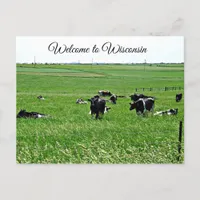 Welcome to Wisconsin Cows in Field Postcard