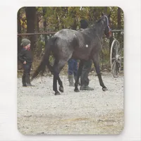 Getting a new horse mouse pad