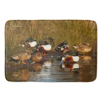 Colorful Northern Shoveler Ducks in the Marsh Bath Mat