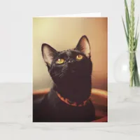 Black Cat Halloween Card