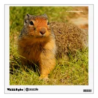 A Twitchy-Nosed Columbian Ground Squirrel Wall Sticker