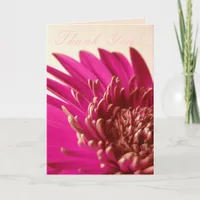 Pink Gerbera Card