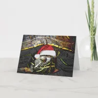 A Christmas Turtle Holiday Card