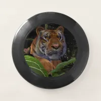 Tiger Crouching in the Jungle Wham-O Frisbee