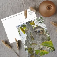 Tranquil Arboreal Grace Postcard