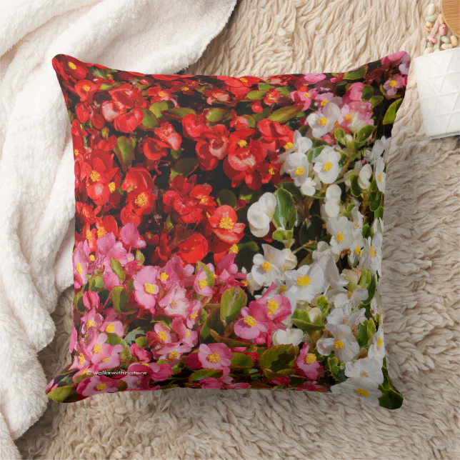 Colorful Floral Medley of Wax Begonias Throw Pillow