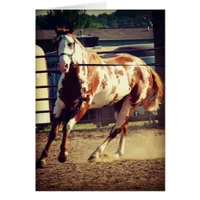 Paint Horse Cards