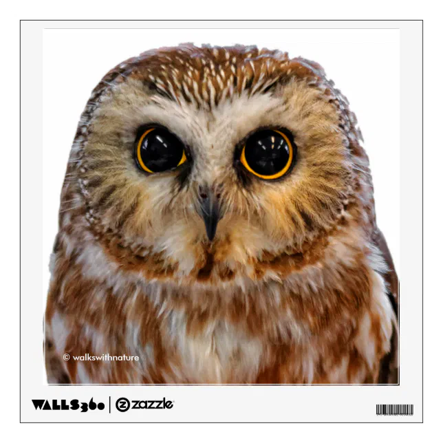 Cute Northern Saw Whet Owl Wall Sticker