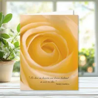 White Rose Thank You for Your Sympathy