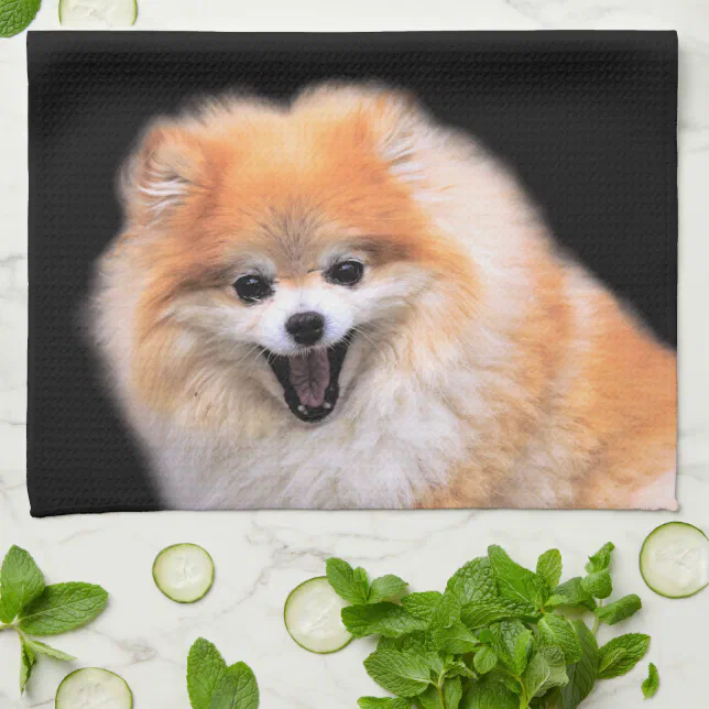 Cute Laughing Pomeranian Dog Kitchen Towel