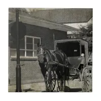 Stop for A Spell, Amish Horse at Stop Sign Tile