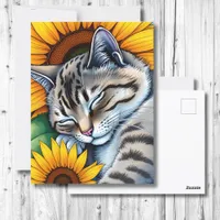 Sweet Napping Gray Cat and Sunflower Postcard